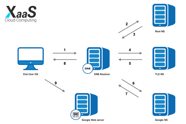 تامین کننده DNS