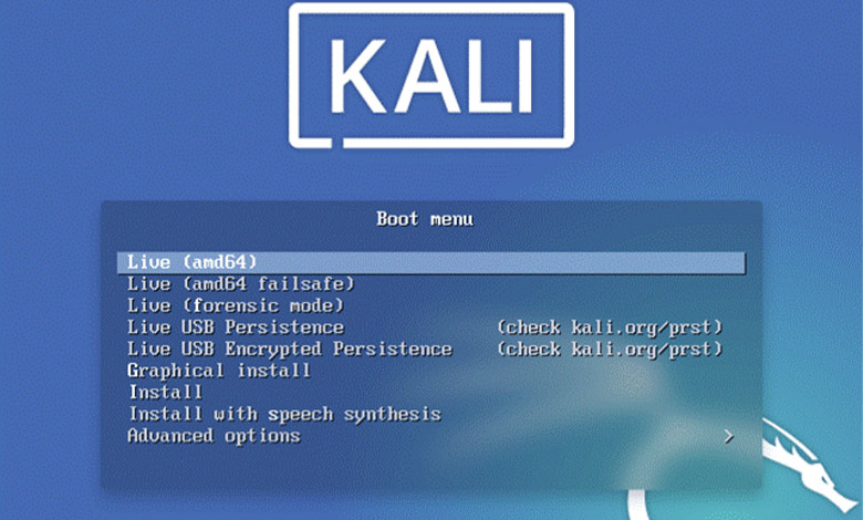 آموزش نصب کالی لینوکس - انتخاب گزینه در حالتی که ایمیج لایو را استفاده کرده‌اید.